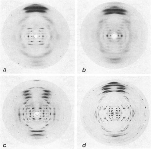 https://cdn.ncbi.nlm.nih.gov/pmc/blobs/1d4f/1329552/e1972515e017/biophysj00184-0016-a.jpg