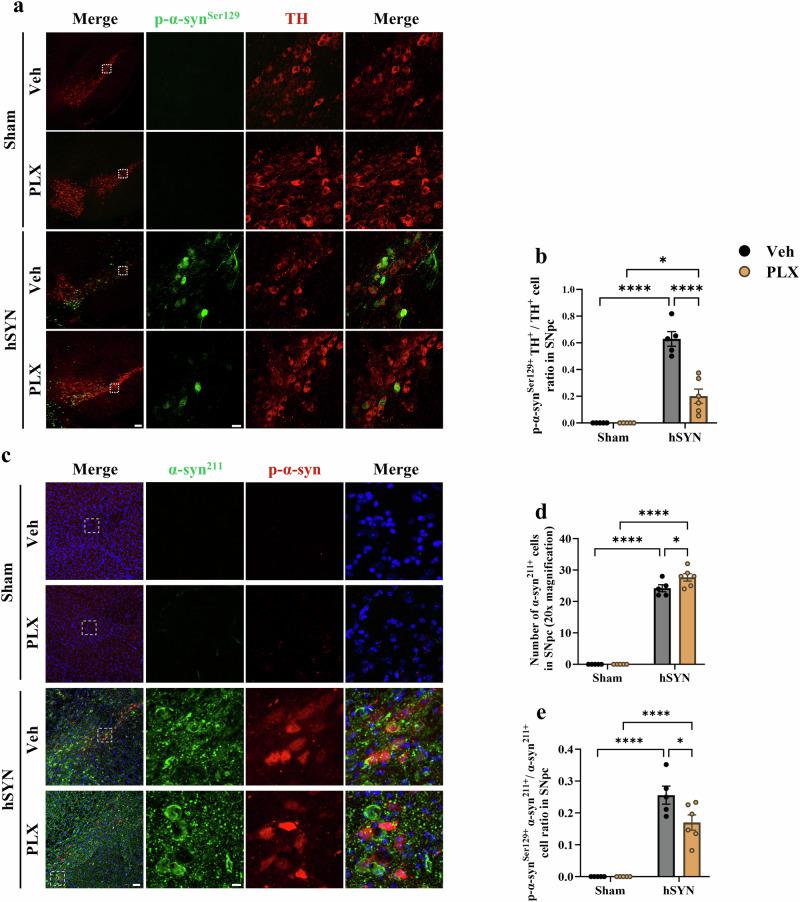 https://cdn.ncbi.nlm.nih.gov/pmc/blobs/1d50/11711755/cda6a84a596b/41531_2024_846_Fig2_HTML.jpg