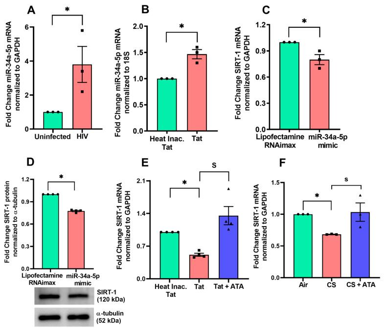 https://cdn.ncbi.nlm.nih.gov/pmc/blobs/1d51/11640087/a9caebfdcba6/cells-13-02009-g001.jpg
