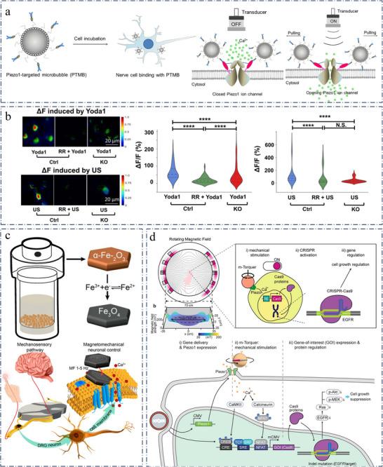 https://cdn.ncbi.nlm.nih.gov/pmc/blobs/1d51/12302646/601aea698cc2/ADVS-12-e13817-g014.jpg