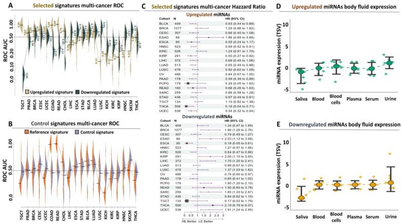 https://cdn.ncbi.nlm.nih.gov/pmc/blobs/1d53/11728082/3cf4d3024ad7/genes-15-01649-g004.jpg