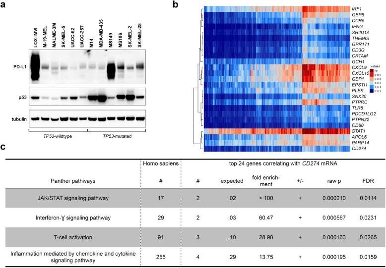 https://cdn.ncbi.nlm.nih.gov/pmc/blobs/1d54/6737652/934ca6384078/13046_2019_1403_Fig2_HTML.jpg