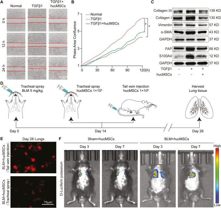 https://cdn.ncbi.nlm.nih.gov/pmc/blobs/1d55/11386227/4b7ac5649112/szae051_fig2.jpg