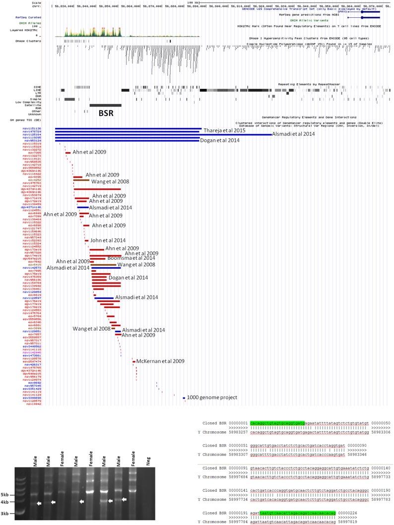 https://cdn.ncbi.nlm.nih.gov/pmc/blobs/1d55/6591651/e2b406c9b08b/fpsyt-10-00416-g006.jpg