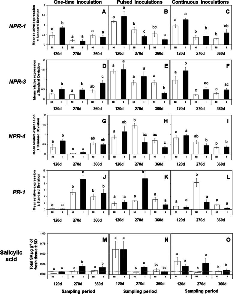 https://cdn.ncbi.nlm.nih.gov/pmc/blobs/1d55/8722004/501078e3afd7/12870_2021_3389_Fig1_HTML.jpg