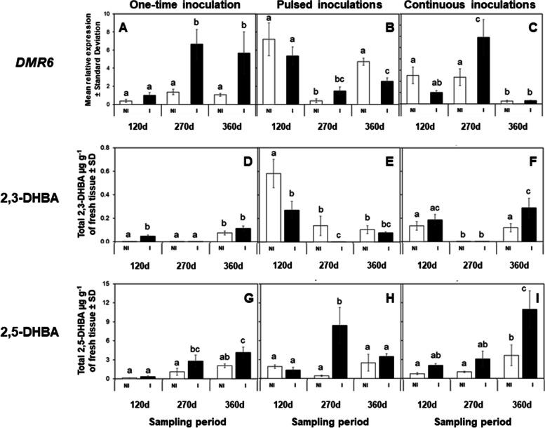 https://cdn.ncbi.nlm.nih.gov/pmc/blobs/1d55/8722004/b09a6ab559e2/12870_2021_3389_Fig3_HTML.jpg
