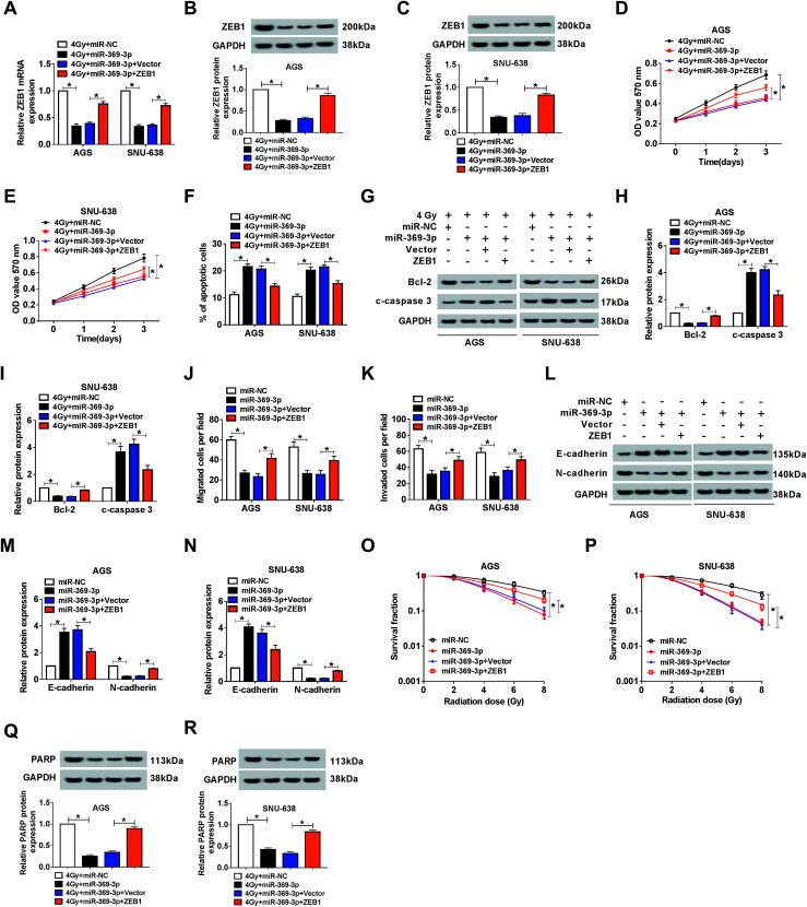 https://cdn.ncbi.nlm.nih.gov/pmc/blobs/1d56/9048038/fec543839902/c9ra08525d-f7.jpg