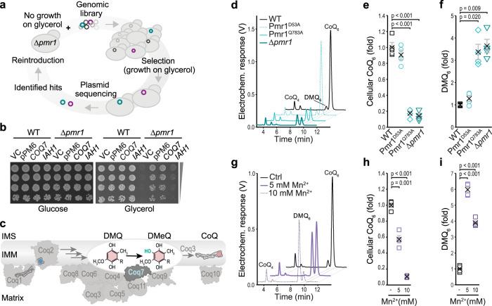 https://cdn.ncbi.nlm.nih.gov/pmc/blobs/1d5a/9563070/33b5dac42764/41467_2022_33641_Fig2_HTML.jpg
