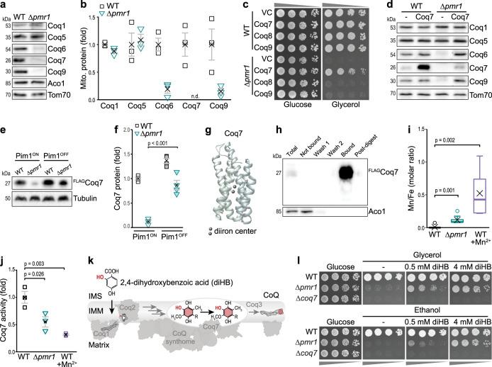 https://cdn.ncbi.nlm.nih.gov/pmc/blobs/1d5a/9563070/fda47b843745/41467_2022_33641_Fig5_HTML.jpg