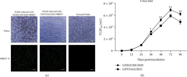 https://cdn.ncbi.nlm.nih.gov/pmc/blobs/1d5b/12016764/f143798905de/TBED2023-3869145.001.jpg