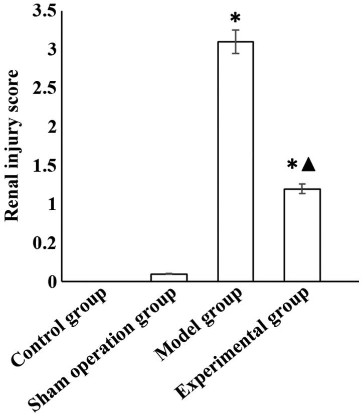 https://cdn.ncbi.nlm.nih.gov/pmc/blobs/1d5d/6143854/38224944c927/etm-16-04-3584-g00.jpg