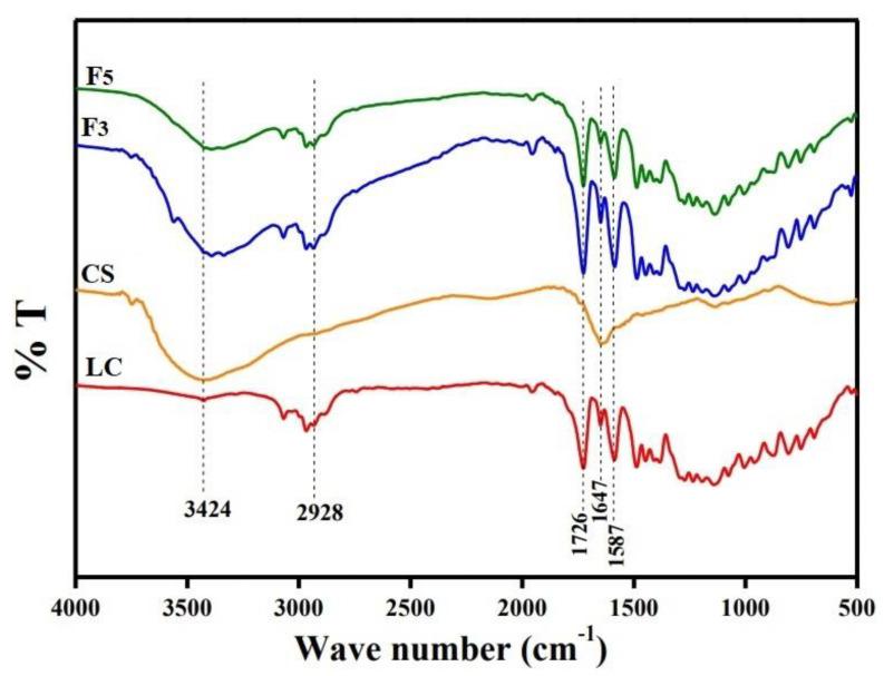 https://cdn.ncbi.nlm.nih.gov/pmc/blobs/1d5e/9503733/29f70ddc1365/nanomaterials-12-03110-g003.jpg