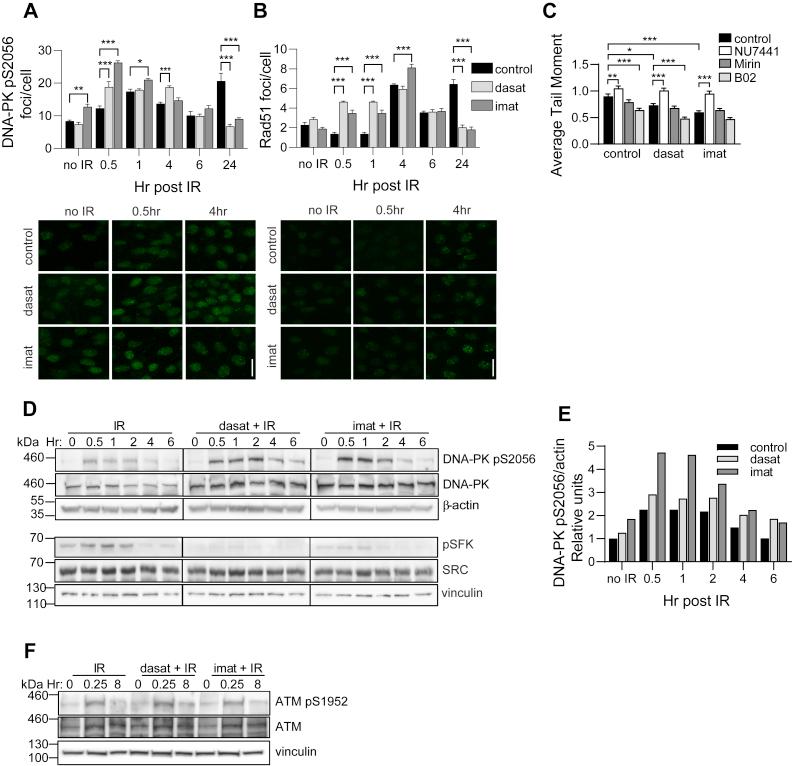 https://cdn.ncbi.nlm.nih.gov/pmc/blobs/1d5f/7973138/0089e0efafaf/gr3.jpg