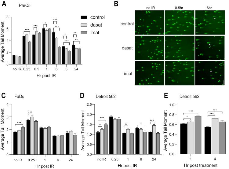 https://cdn.ncbi.nlm.nih.gov/pmc/blobs/1d5f/7973138/4b7cc5668cbe/gr1.jpg
