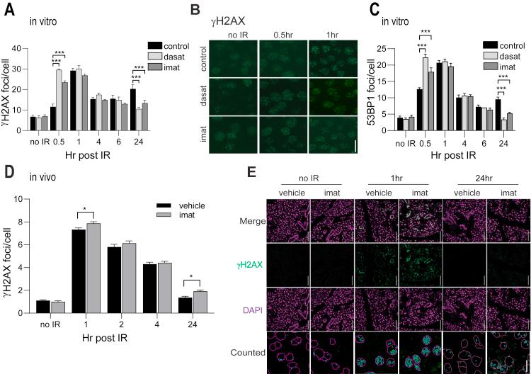 https://cdn.ncbi.nlm.nih.gov/pmc/blobs/1d5f/7973138/7cb55839f57c/gr2.jpg