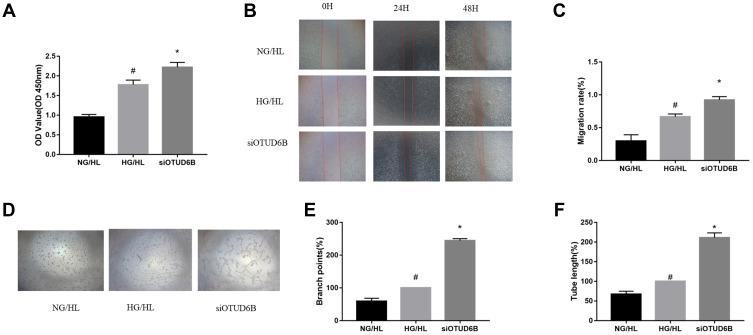 https://cdn.ncbi.nlm.nih.gov/pmc/blobs/1d63/9527820/09442bb0713d/DMSO-15-3027-g0006.jpg