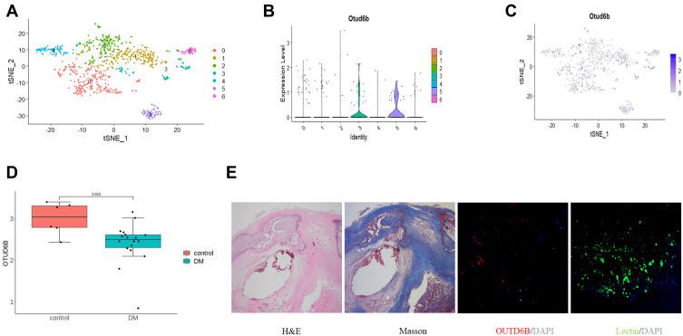 https://cdn.ncbi.nlm.nih.gov/pmc/blobs/1d63/9527820/c75a2a3ccd08/DMSO-15-3027-g0002.jpg