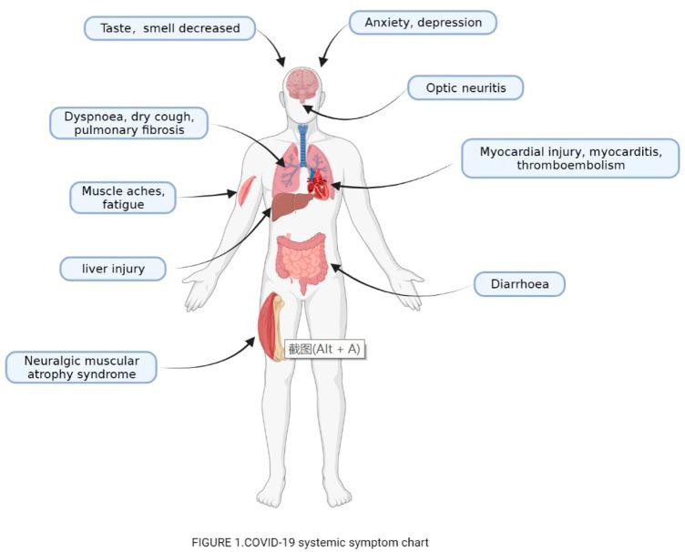 https://cdn.ncbi.nlm.nih.gov/pmc/blobs/1d63/9872123/f52702a9be7b/fphar-13-1054312-g001.jpg