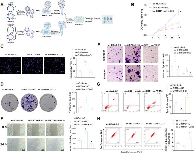 https://cdn.ncbi.nlm.nih.gov/pmc/blobs/1d64/11391609/60ca4fd1594c/10020_2024_915_Fig5_HTML.jpg