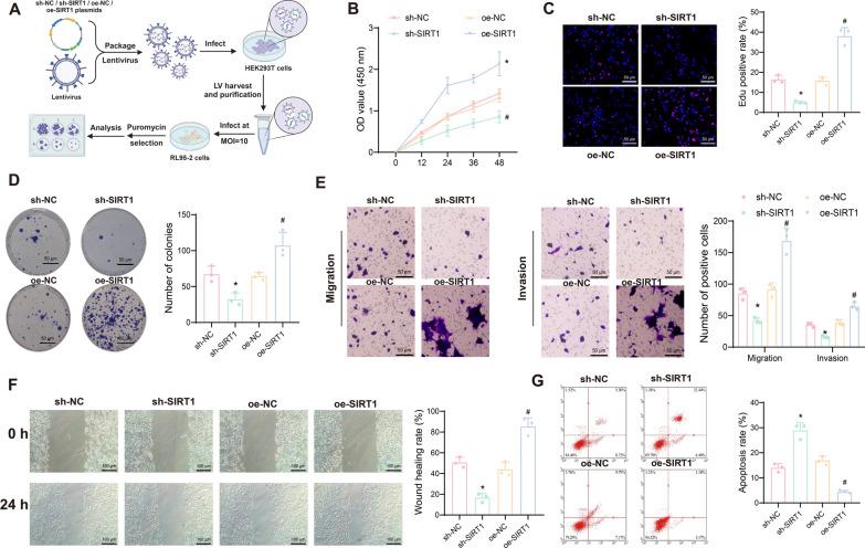 https://cdn.ncbi.nlm.nih.gov/pmc/blobs/1d64/11391609/648808c962d7/10020_2024_915_Fig3_HTML.jpg