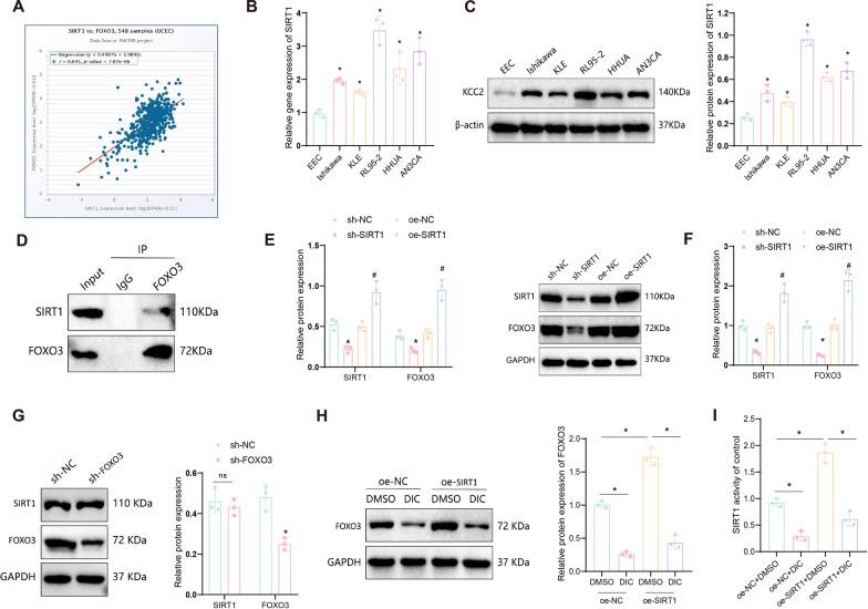 https://cdn.ncbi.nlm.nih.gov/pmc/blobs/1d64/11391609/7dab3e3c65bf/10020_2024_915_Fig2_HTML.jpg