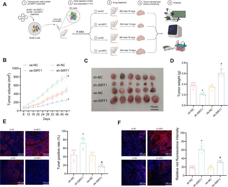 https://cdn.ncbi.nlm.nih.gov/pmc/blobs/1d64/11391609/86827e61794a/10020_2024_915_Fig8_HTML.jpg
