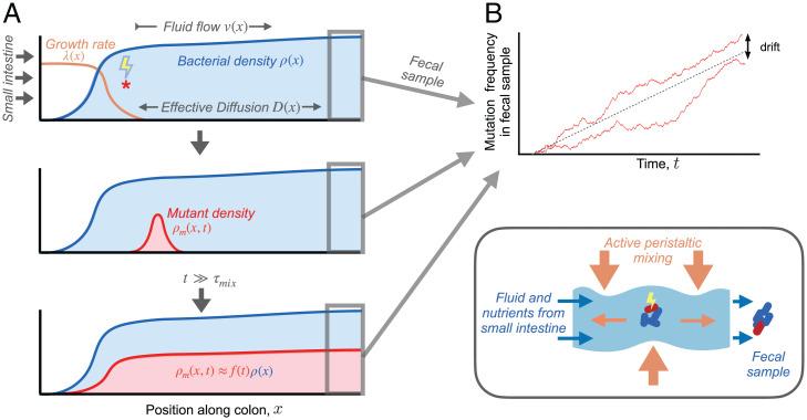 https://cdn.ncbi.nlm.nih.gov/pmc/blobs/1d64/9282425/661d3038a05e/pnas.2114931119fig01.jpg