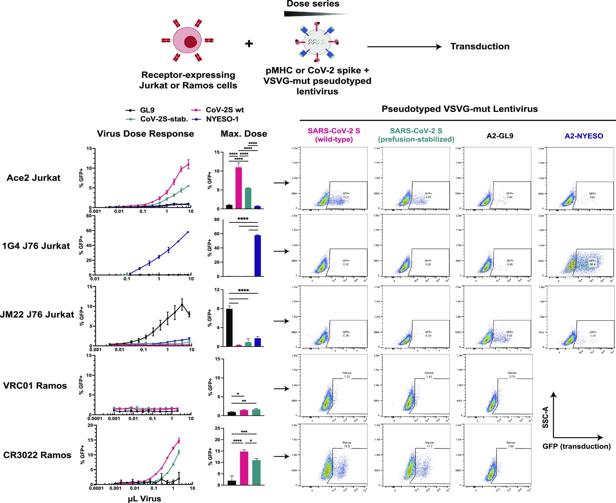 https://cdn.ncbi.nlm.nih.gov/pmc/blobs/1d67/11295079/a1c13358c4ff/pnas.2406615121fig02.jpg