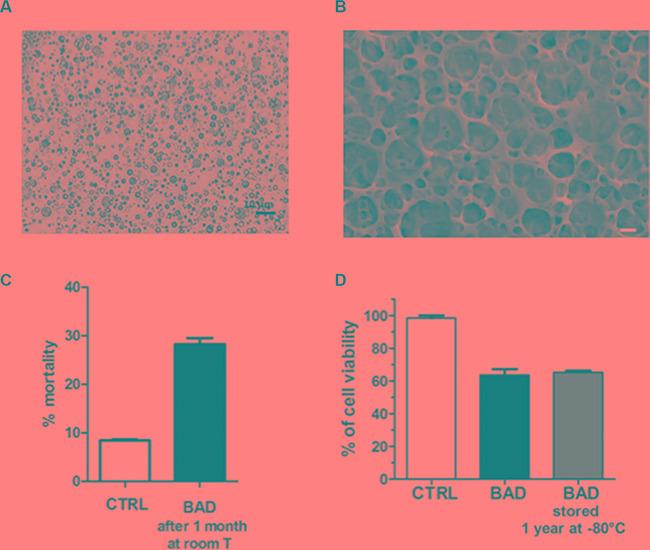 https://cdn.ncbi.nlm.nih.gov/pmc/blobs/1d6a/5356665/2316c8a96478/oncotarget-07-84338-g009.jpg
