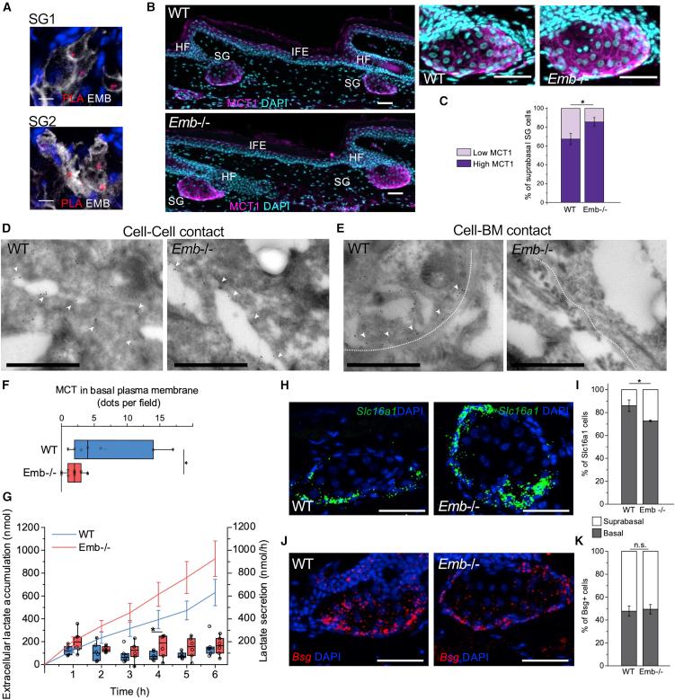 https://cdn.ncbi.nlm.nih.gov/pmc/blobs/1d6a/9616737/53f952b70015/gr3.jpg