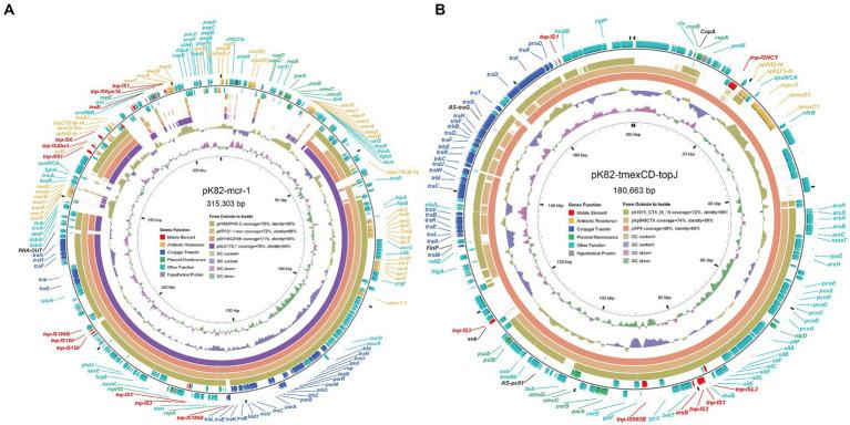 https://cdn.ncbi.nlm.nih.gov/pmc/blobs/1d6b/10813211/d9437131dde3/fmicb-14-1221428-g001.jpg