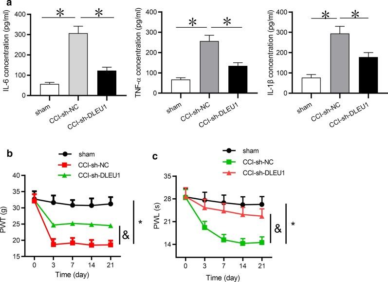 https://cdn.ncbi.nlm.nih.gov/pmc/blobs/1d6b/7653812/dcc81bd5f2fd/10020_2020_235_Fig2_HTML.jpg