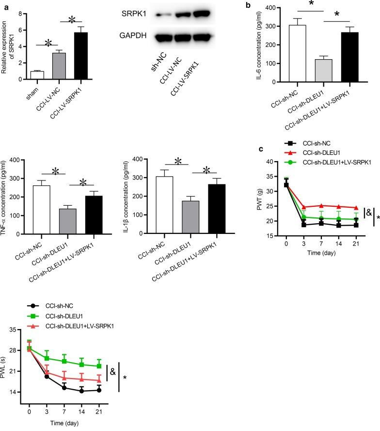 https://cdn.ncbi.nlm.nih.gov/pmc/blobs/1d6b/7653812/defa2c7f6c57/10020_2020_235_Fig5_HTML.jpg