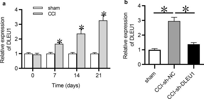 https://cdn.ncbi.nlm.nih.gov/pmc/blobs/1d6b/7653812/e50e74c3aba2/10020_2020_235_Fig1_HTML.jpg