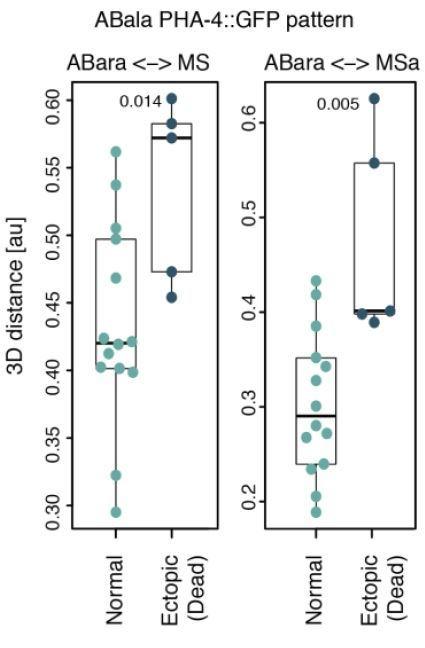 https://cdn.ncbi.nlm.nih.gov/pmc/blobs/1d6b/7972452/034767881981/elife-61714-resp-fig1.jpg