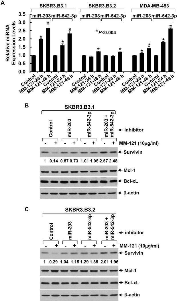 https://cdn.ncbi.nlm.nih.gov/pmc/blobs/1d6e/6089084/36ac8fdb77d8/nihms953094f3.jpg