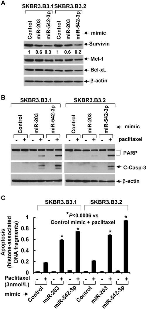 https://cdn.ncbi.nlm.nih.gov/pmc/blobs/1d6e/6089084/9381d66e3ba7/nihms953094f4.jpg