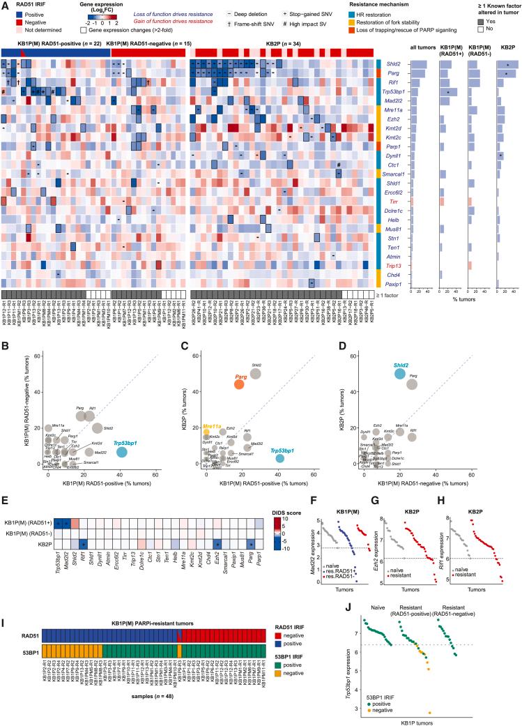 https://cdn.ncbi.nlm.nih.gov/pmc/blobs/1d6f/10242444/b16814489432/gr2.jpg