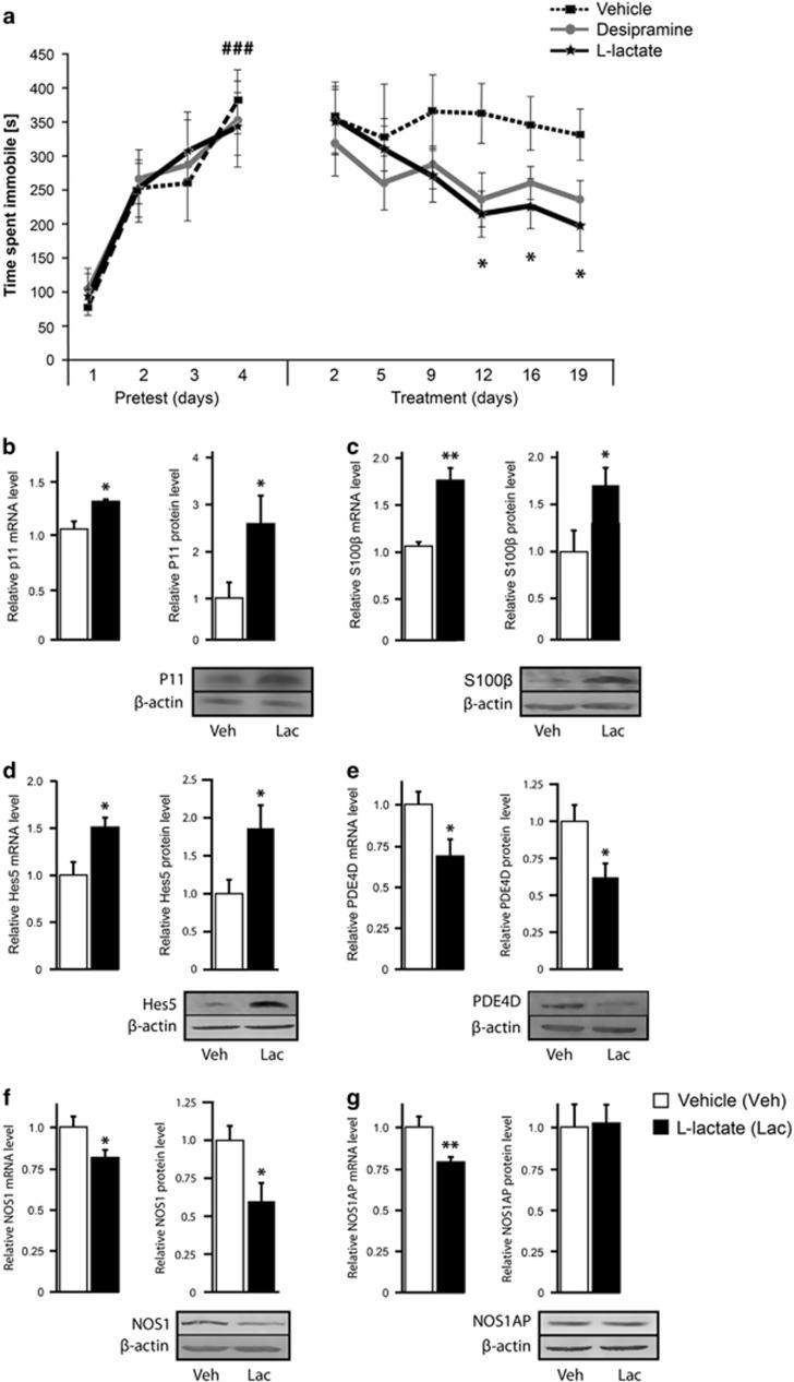 https://cdn.ncbi.nlm.nih.gov/pmc/blobs/1d6f/5794893/2ce37c04beee/mp2016179f4.jpg