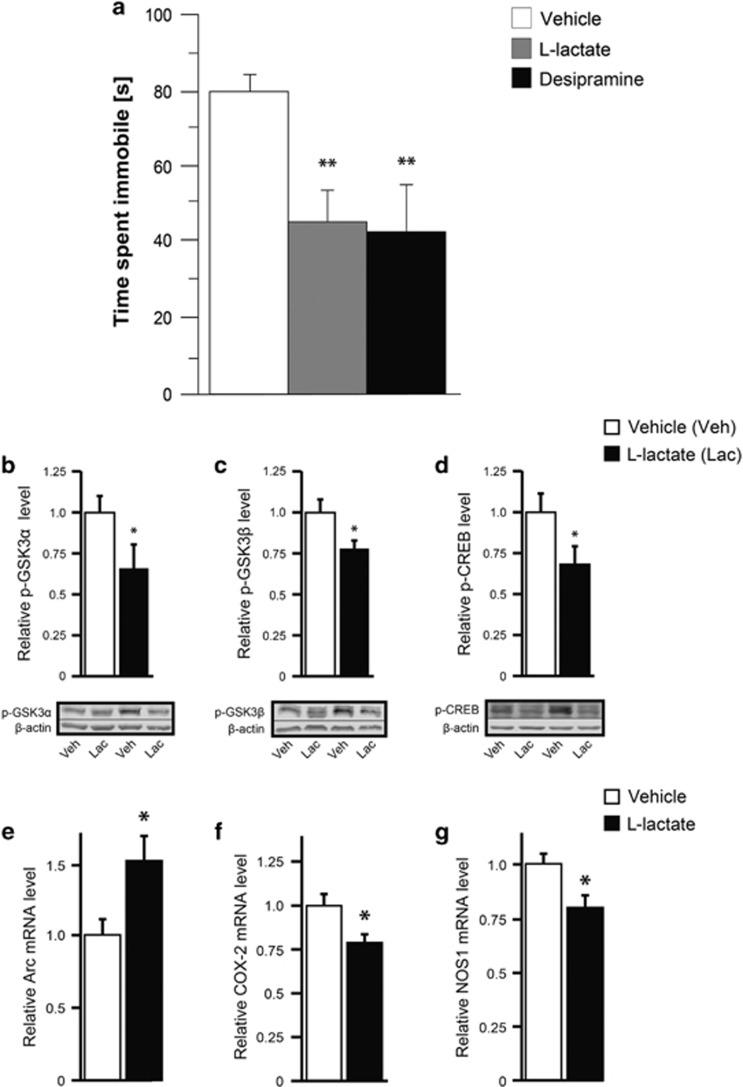 https://cdn.ncbi.nlm.nih.gov/pmc/blobs/1d6f/5794893/f63d42b5546b/mp2016179f2.jpg