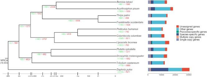 https://cdn.ncbi.nlm.nih.gov/pmc/blobs/1d6f/9295366/00de24255d13/giac062fig3.jpg