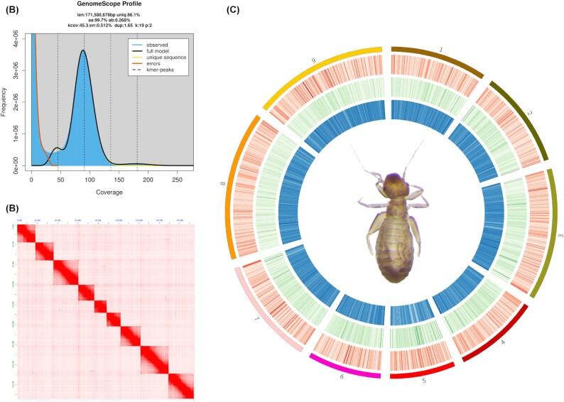 https://cdn.ncbi.nlm.nih.gov/pmc/blobs/1d6f/9295366/9d63e88e9e0c/giac062fig2.jpg