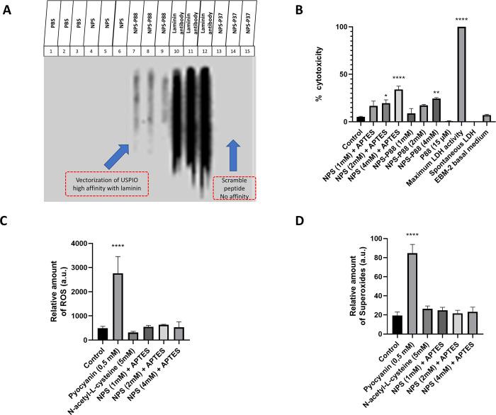 https://cdn.ncbi.nlm.nih.gov/pmc/blobs/1d70/11008835/8ffb0050354e/pone.0302031.g002.jpg