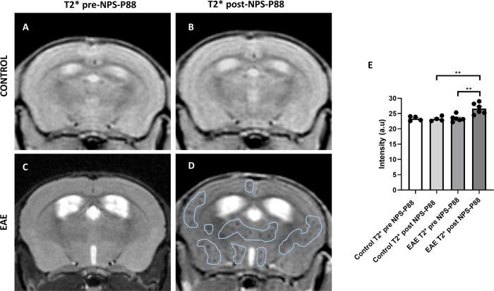 https://cdn.ncbi.nlm.nih.gov/pmc/blobs/1d70/11008835/9223a431ddce/pone.0302031.g007.jpg