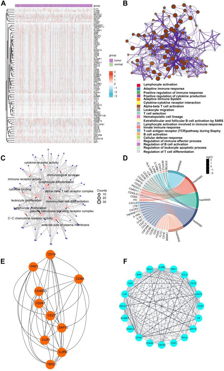 https://cdn.ncbi.nlm.nih.gov/pmc/blobs/1d71/11021863/998cfdc029d1/BCTT-16-199-g0003.jpg