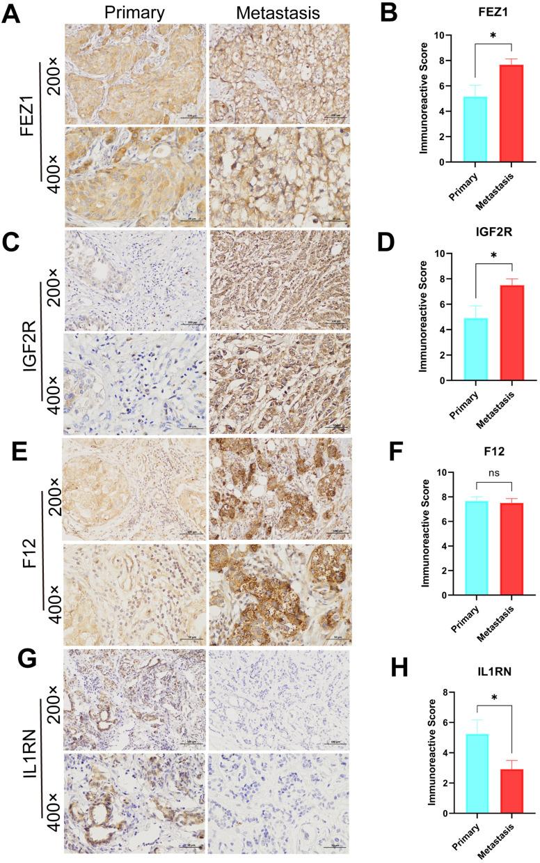 https://cdn.ncbi.nlm.nih.gov/pmc/blobs/1d71/11021863/b8d6dbbf1078/BCTT-16-199-g0010.jpg