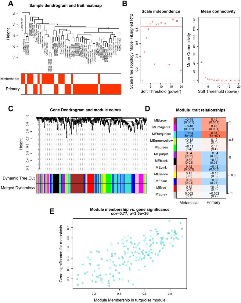 https://cdn.ncbi.nlm.nih.gov/pmc/blobs/1d71/11021863/c2b5675ff911/BCTT-16-199-g0002.jpg