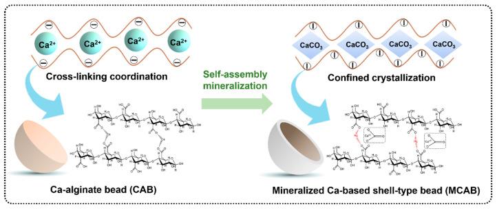 https://cdn.ncbi.nlm.nih.gov/pmc/blobs/1d75/11678989/adbbadab1c45/polymers-16-03454-g011.jpg