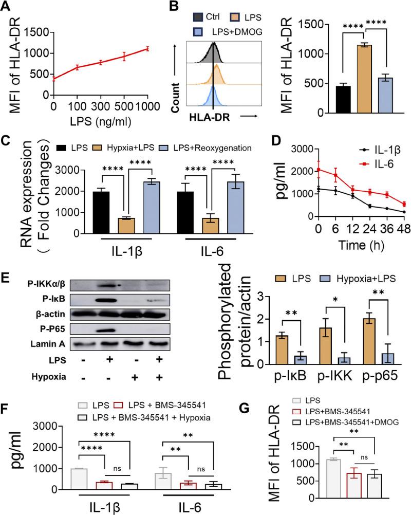https://cdn.ncbi.nlm.nih.gov/pmc/blobs/1d78/11939089/8c3ca26fd619/shock-63-541-g006.jpg