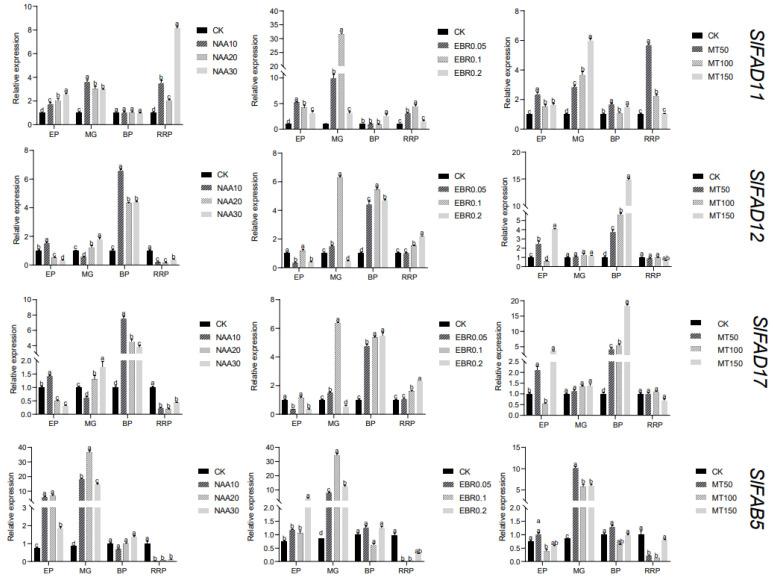 https://cdn.ncbi.nlm.nih.gov/pmc/blobs/1d79/10675527/374093183fc1/plants-12-03818-g011.jpg